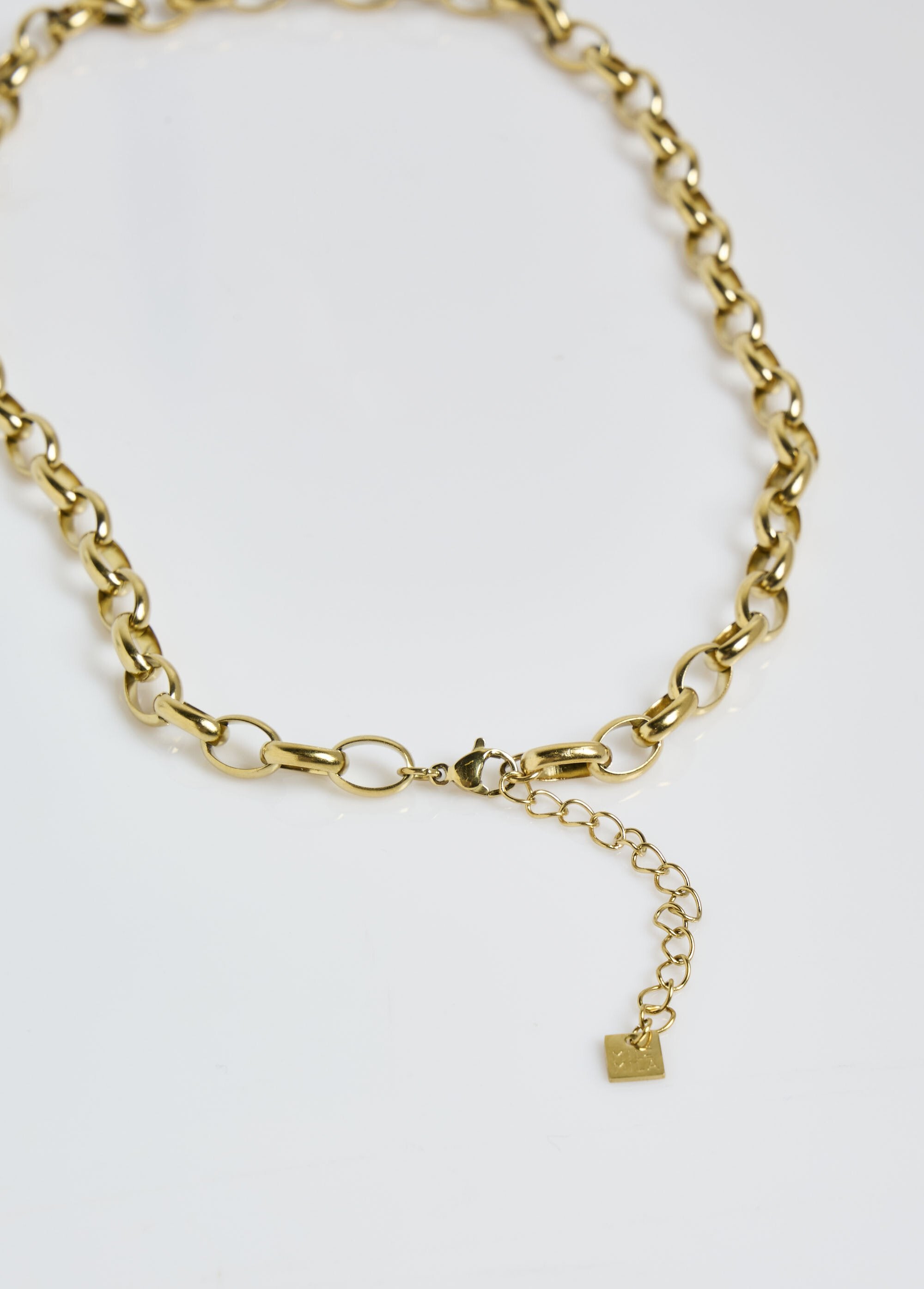 Colar_em_aço_inoxidável,_elo_de_forçat_oval_Dore_DE2_slim