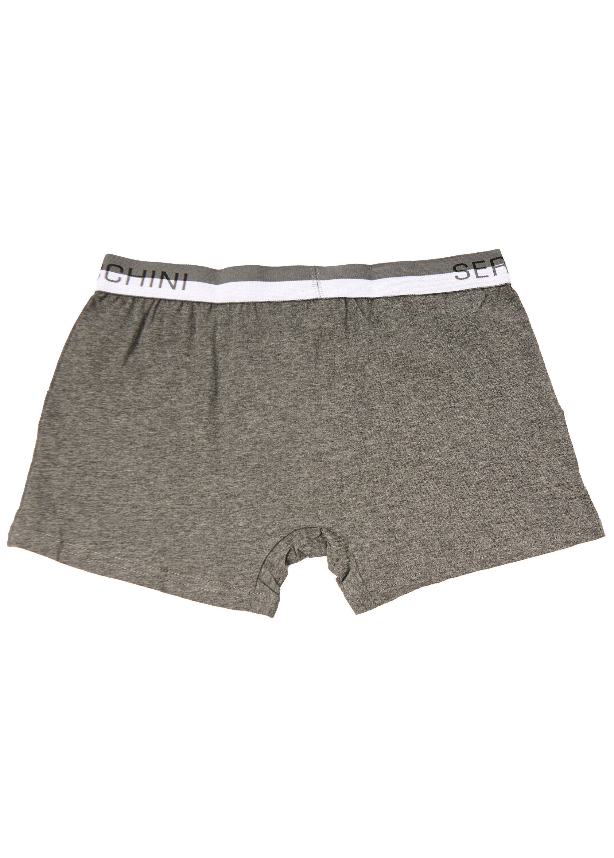 Cueca_boxer_lisa_com_cós_com_logo_Gris_DO1_slim