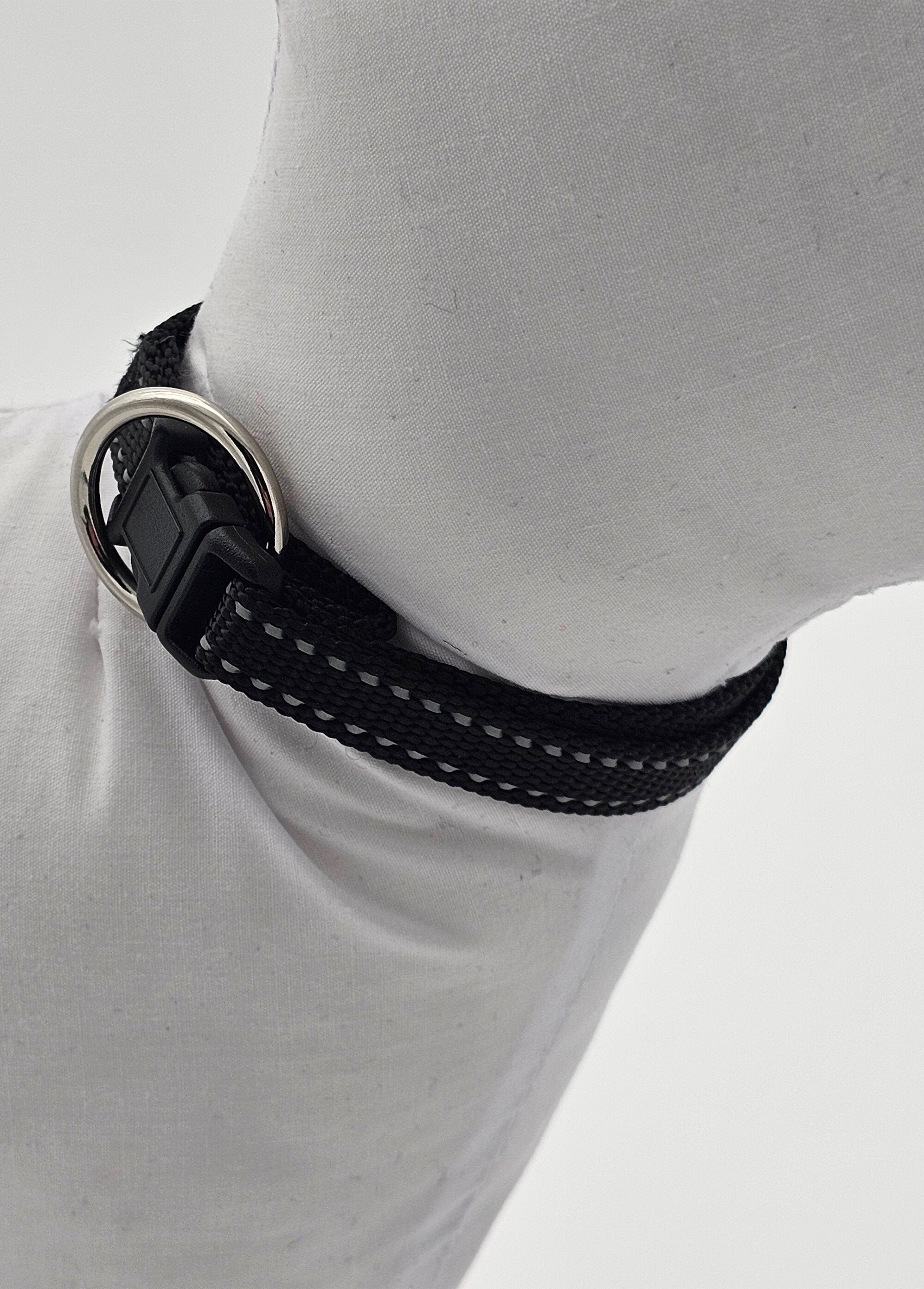 Coleira_refletiva_para_animais_de_estimação_Noir_DE2_slim