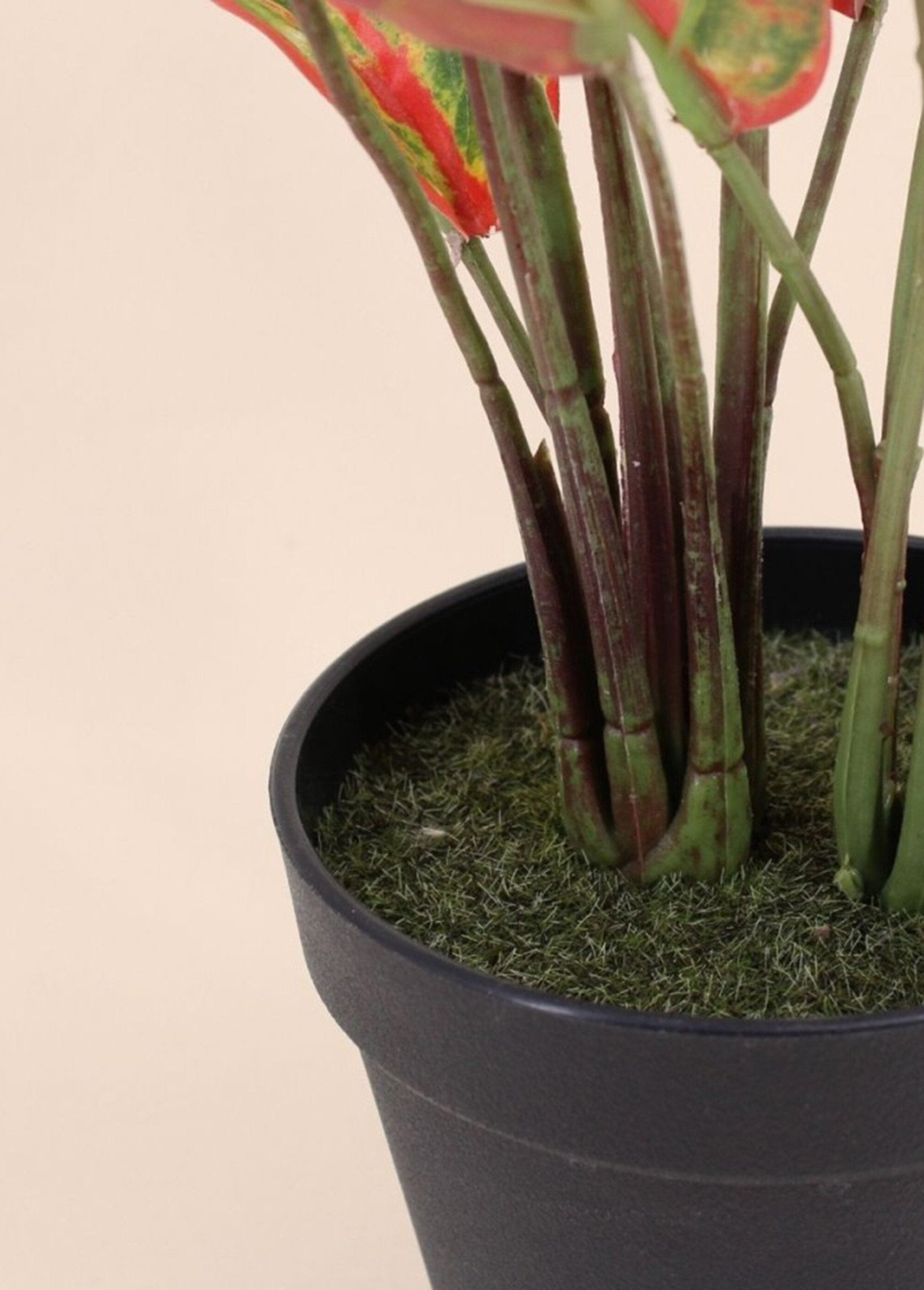 Plante_artificielle_Aglaonème_+_pot_Noir_DE2_slim