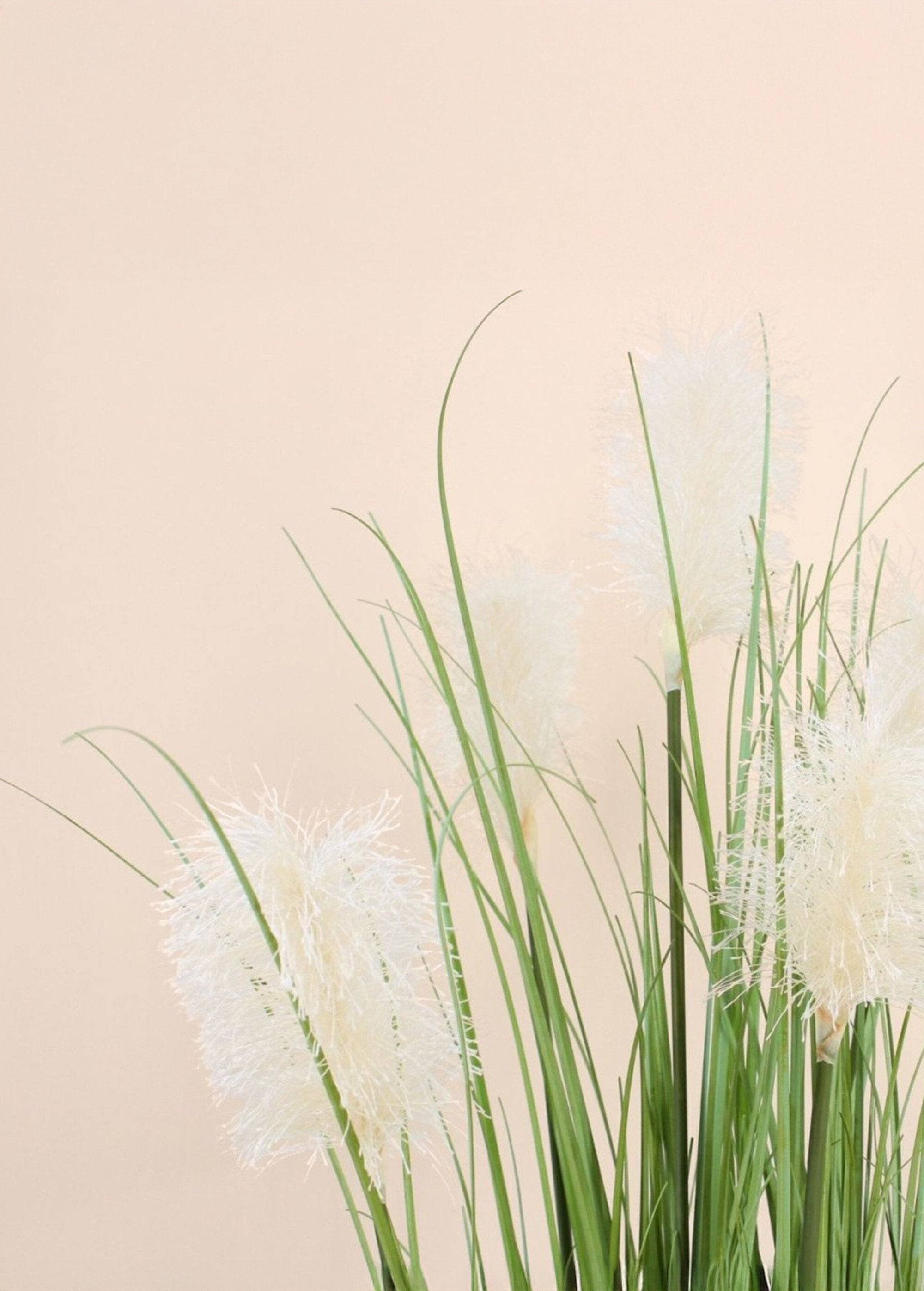 Plante_artificielle_Herbe_de_la_pampa_Noir_DE1_slim