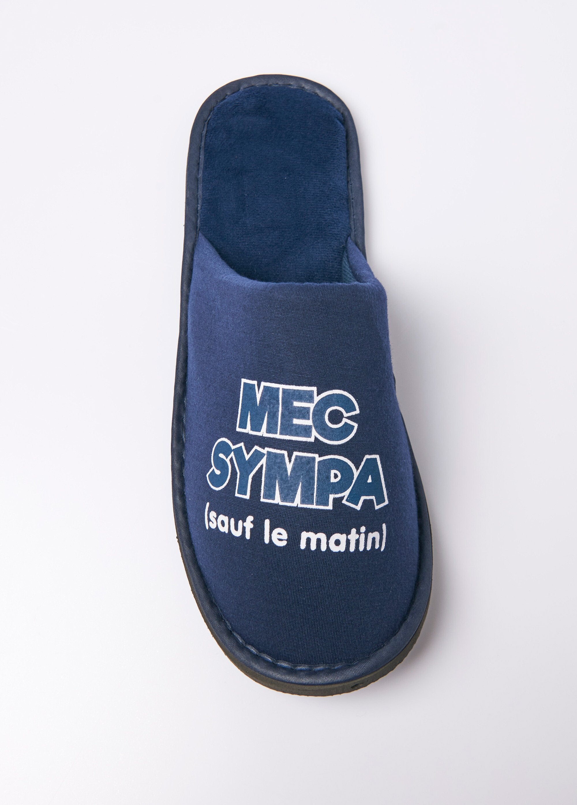 Pantufas_de_mula_com_mensagem_engraçada_Bleu_DE1_slim