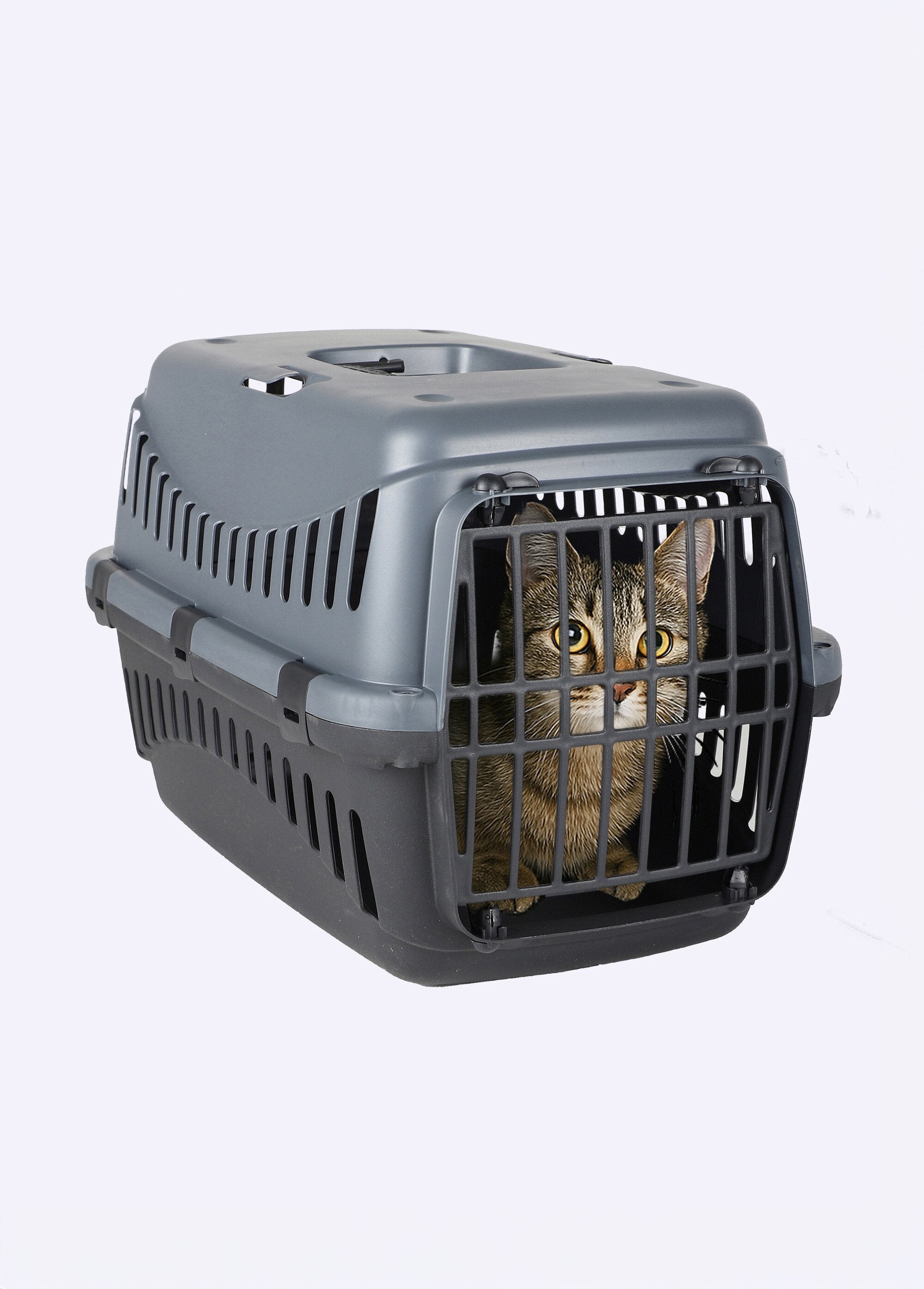 Transportadora_de_animais_de_estimação_Gris_et_noir_FA1_slim