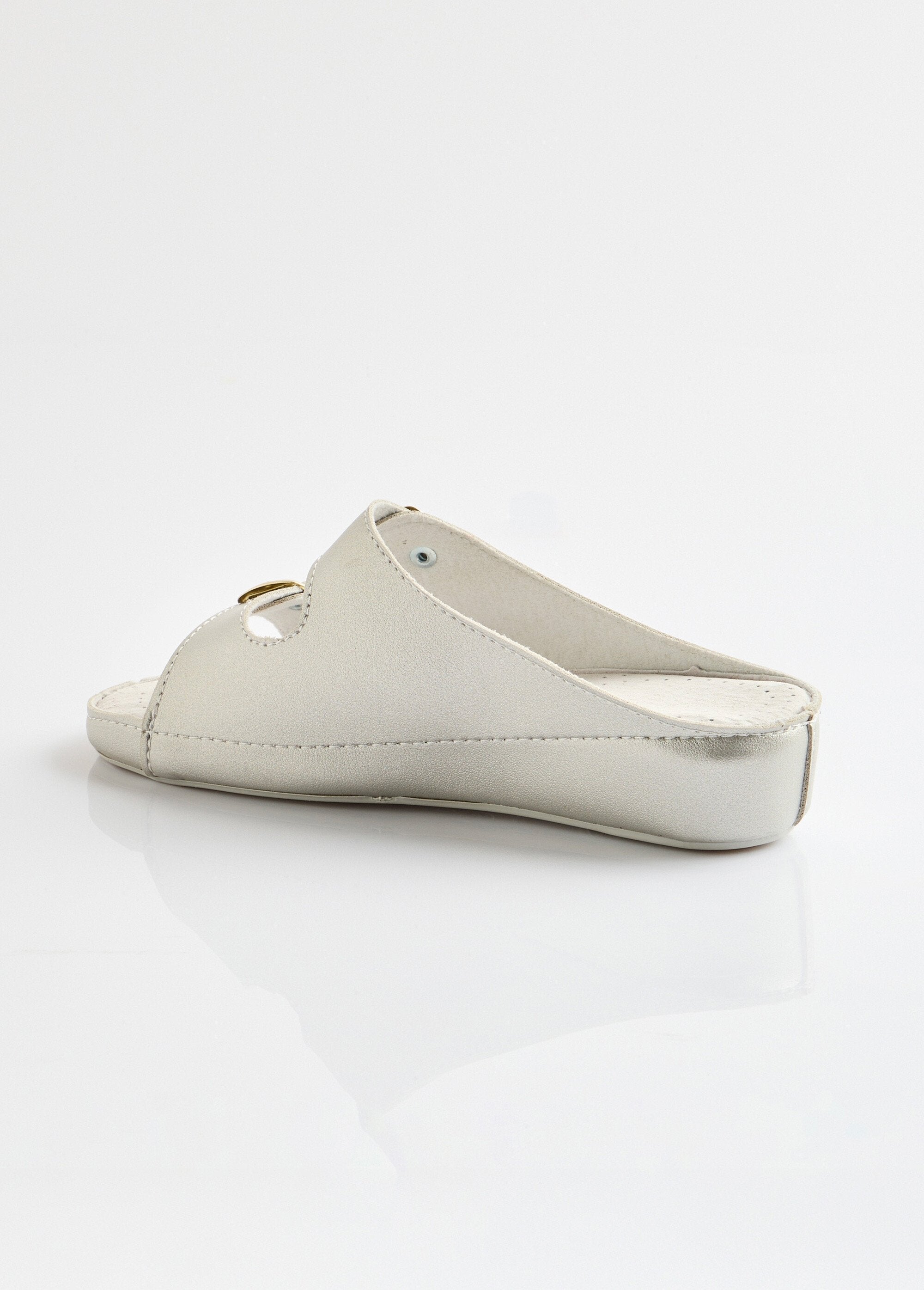 Chinelo_mule_de_grande_largura_PRATA_DO1_slim