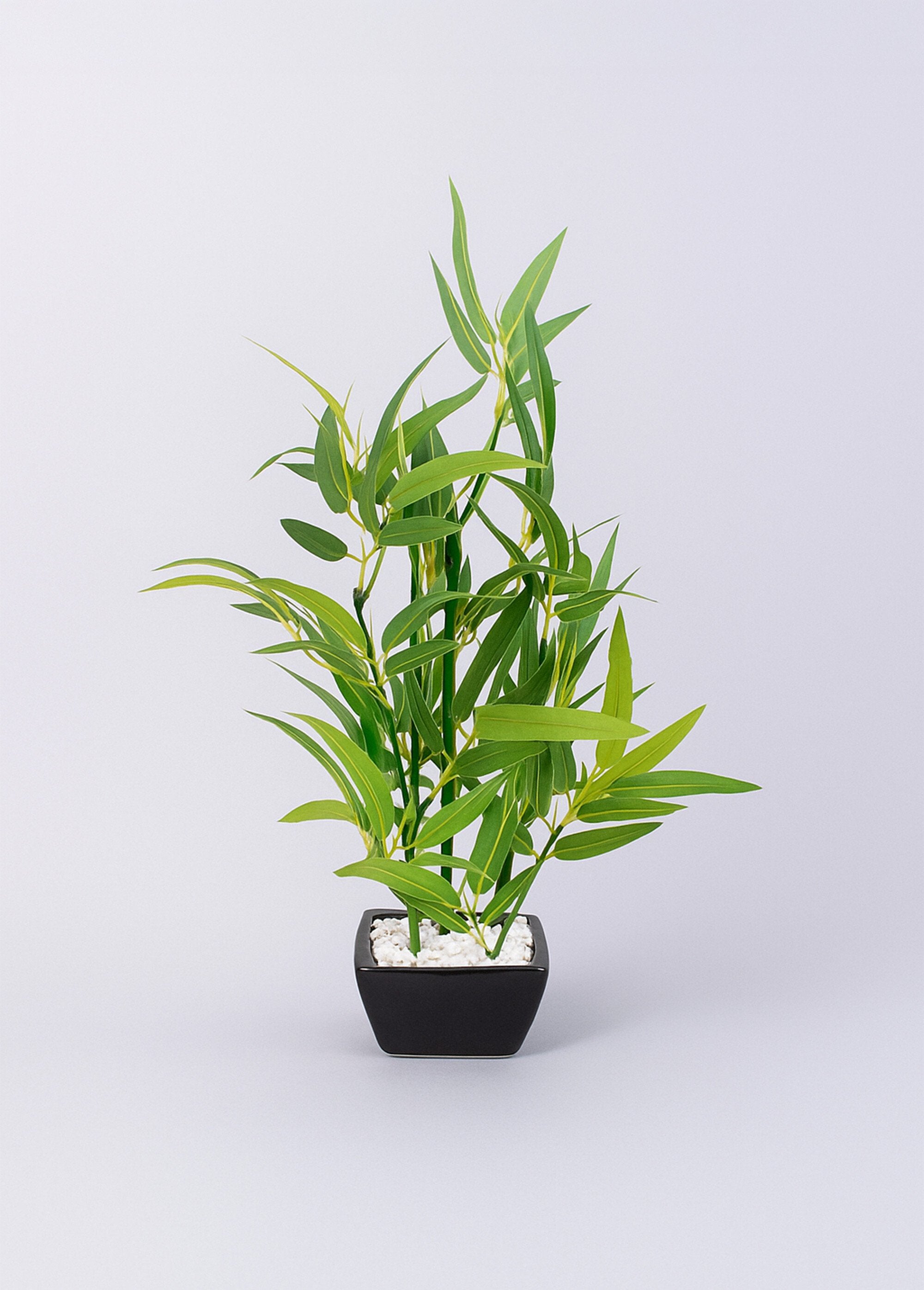 Plante_artificielle_bambou_pot_céramique_Noir_FA1_slim