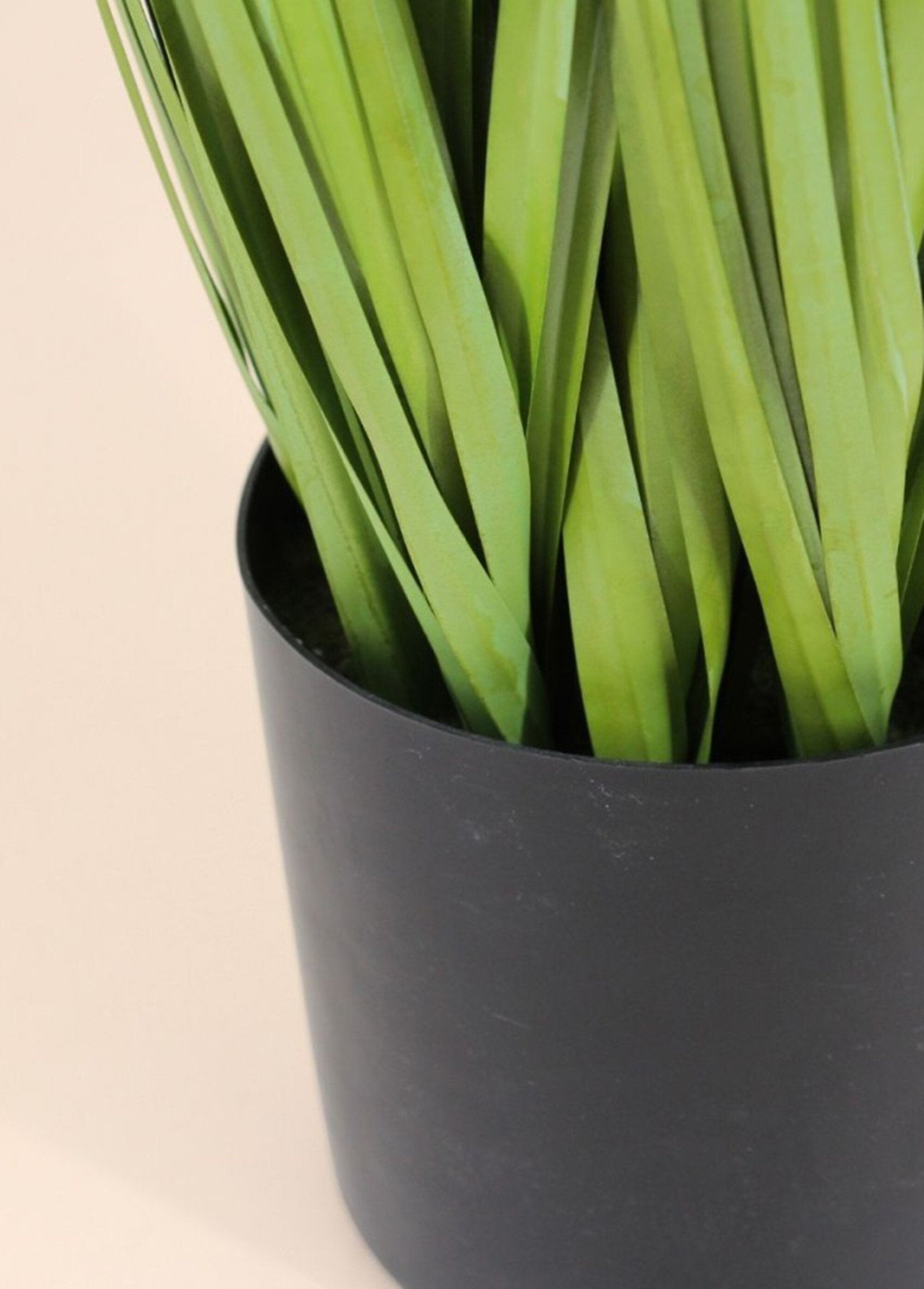 Plante_artificielle_Herbe_de_la_pampa_Noir_DE2_slim