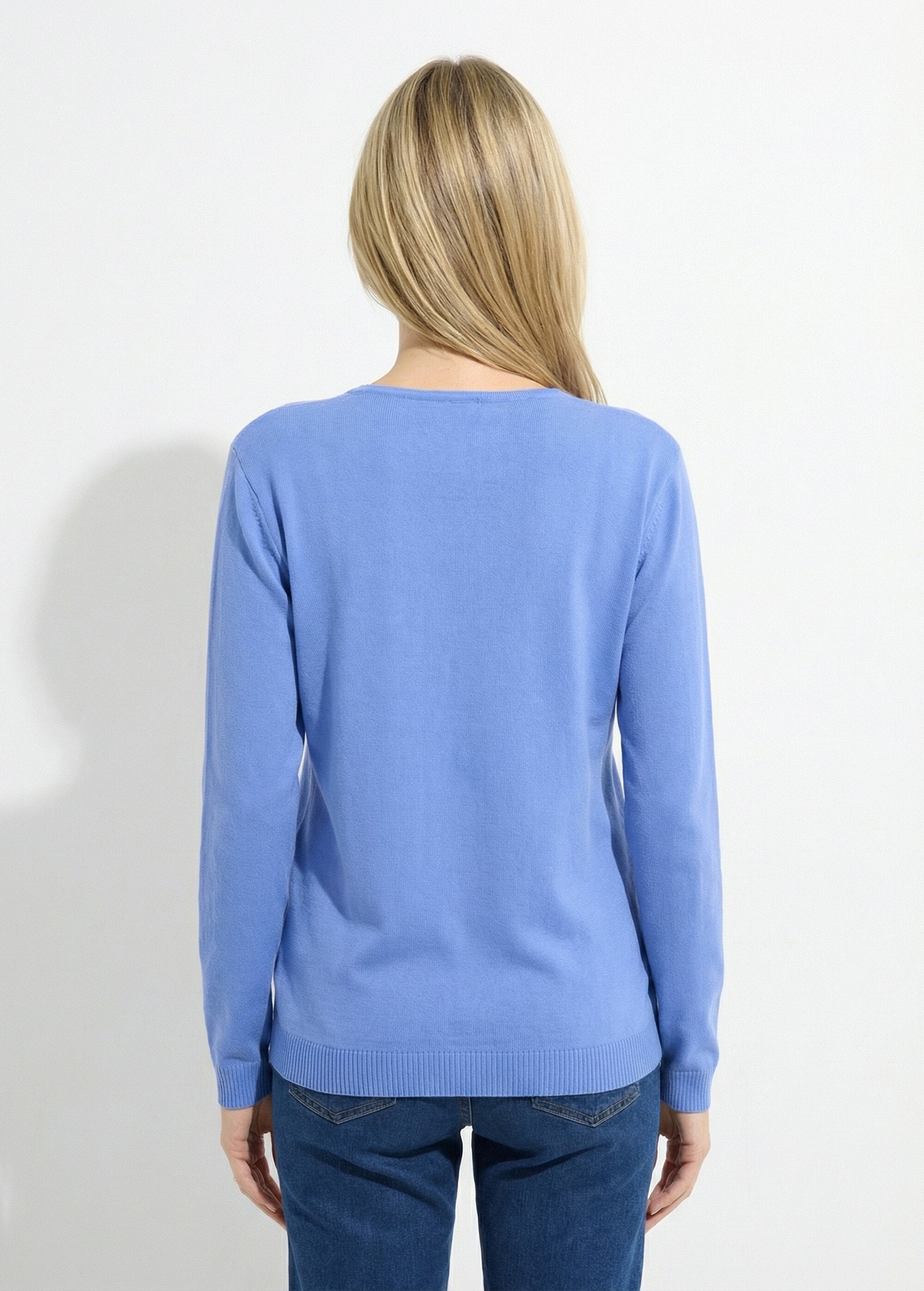Pull_fin_col_V_manches_longues_Bleu_DO1_slim